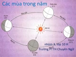 Các mùa trong năm