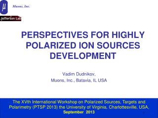 PERSPECTIVES FOR HIGHLY POLARIZED ION SOURCES DEVELOPMENT