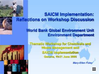 Thematic Workshop for Chemicals and Waste Management and SAICM Implementation