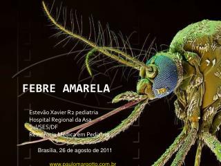 FEBRE AMARELA