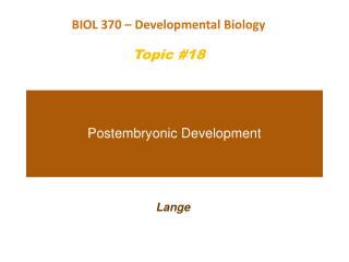 Postembryonic Development