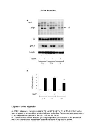 Online Appendix 1