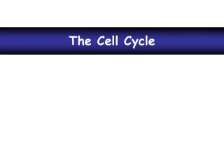 The Cell Cycle