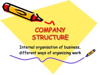 COMPANY STRUCTURE