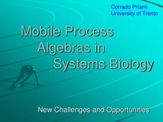 Mobile Process 	Algebras in 		Systems Biology