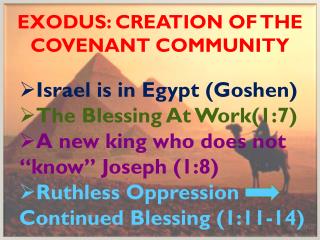 Exodus: Creation of the covenant community