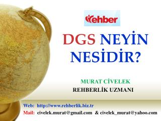 DGS NEYİN NESİDİR?