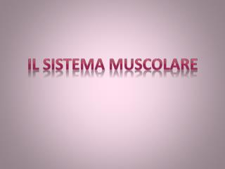 IL SISTEMA MUSCOLARE