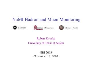NuMI Hadron and Muon Monitoring