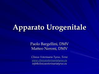 Apparato Urogenitale