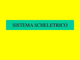 SISTEMA SCHELETRICO
