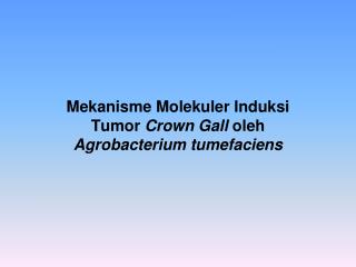 Mekanisme Molekuler Induksi Tumor Crown Gall oleh Agrobacterium tumefaciens