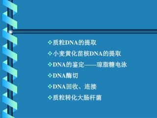 质粒 DNA 的提取 小麦黄化苗核 DNA 的提取 DNA 的鉴定——琼脂糖电泳 DNA 酶切 DNA 回收、连接 质粒转化大肠杆菌