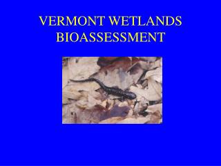 VERMONT WETLANDS BIOASSESSMENT