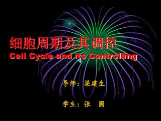 细胞周期及其调控 Cell Cycle and its Controlling