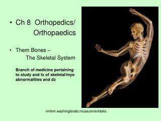 Ch 8 Orthopedics/ Orthopaedics Them Bones –