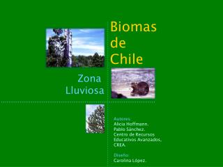 Biomas de Chile