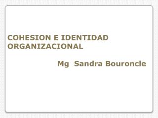COHESION E IDENTIDAD ORGANIZACIONAL 			 Mg Sandra Bouroncle
