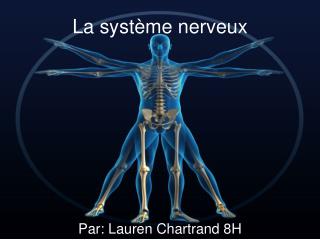 La système nerveux