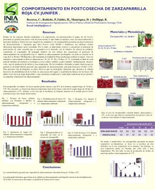 COMPORTAMIENTO EN POSTCOSECHA DE ZARZAPARRILLA ROJA CV. JUNIFER .