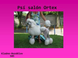 Psí salón Ortex