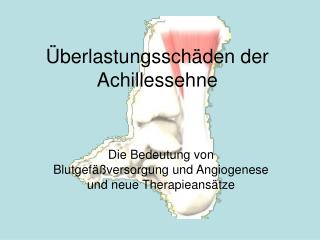 Überlastungsschäden der Achillessehne