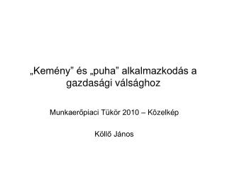 „Kemény” és „puha” alkalmazkodás a gazdasági válsághoz