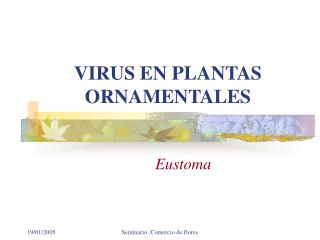 VIRUS EN PLANTAS ORNAMENTALES