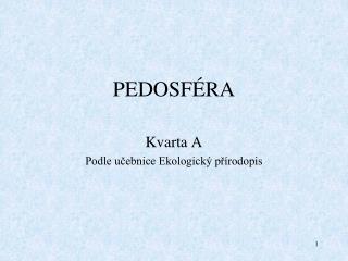 PEDOSFÉRA