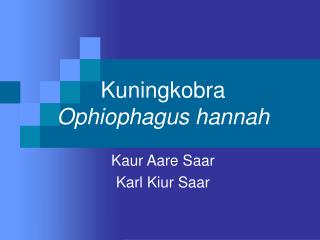 Kuningkobra Ophiophagus hannah