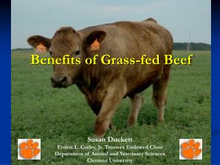 Benefits of Grass-fed Beef