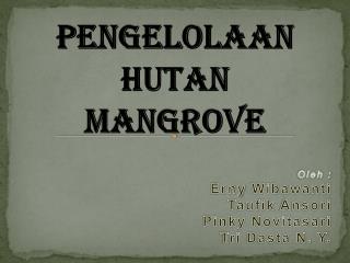 PENGELOLAAN HUTAN MANGROVE