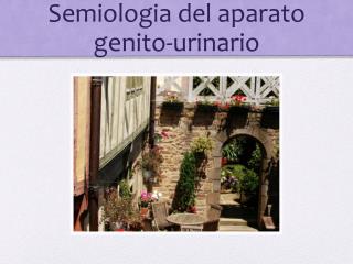Semiologia del aparato genito-urinario