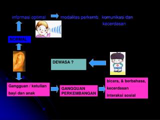 informasi optimal modalitas perkemb. komunikasi dan