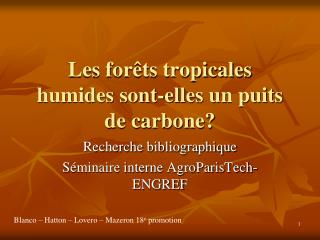 Les forêts tropicales humides sont-elles un puits de carbone?