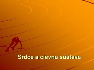 Srdce a cievna sústava