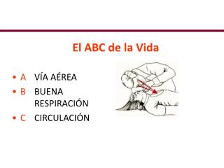 El ABC de la Vida