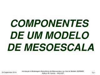 COMPONENTES DE UM MODELO DE MESOESCALA