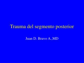 Trauma del segmento posterior