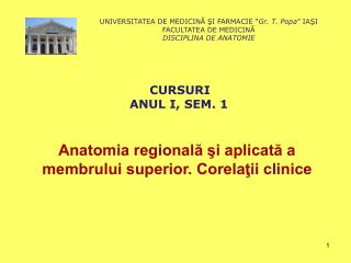 Anatomia regională şi aplicată a membrului superior. Corelaţii clinice