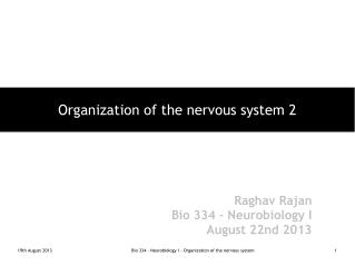 Organization of the nervous system 2