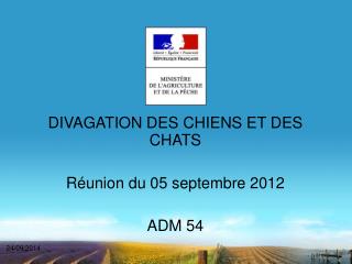DIVAGATION DES CHIENS ET DES CHATS Réunion du 05 septembre 2012 ADM 54
