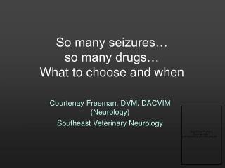 So many seizures… so many drugs… What to choose and when