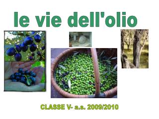 le vie dell'olio