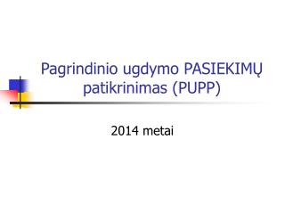 Pagrindinio ugdymo PASIEKIMŲ patikrinimas (PUPP)