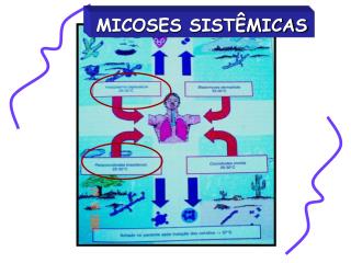 MICOSES SISTÊMICAS