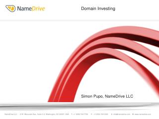 Domain Investing