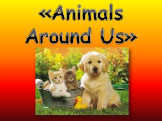 « Animals Aroun d Us »