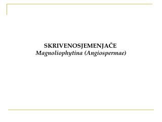 SKRIVENOSJEMENJAČE Magnoliophytina (Angiospermae)