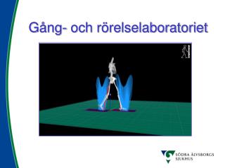 Gång- och rörelselaboratoriet